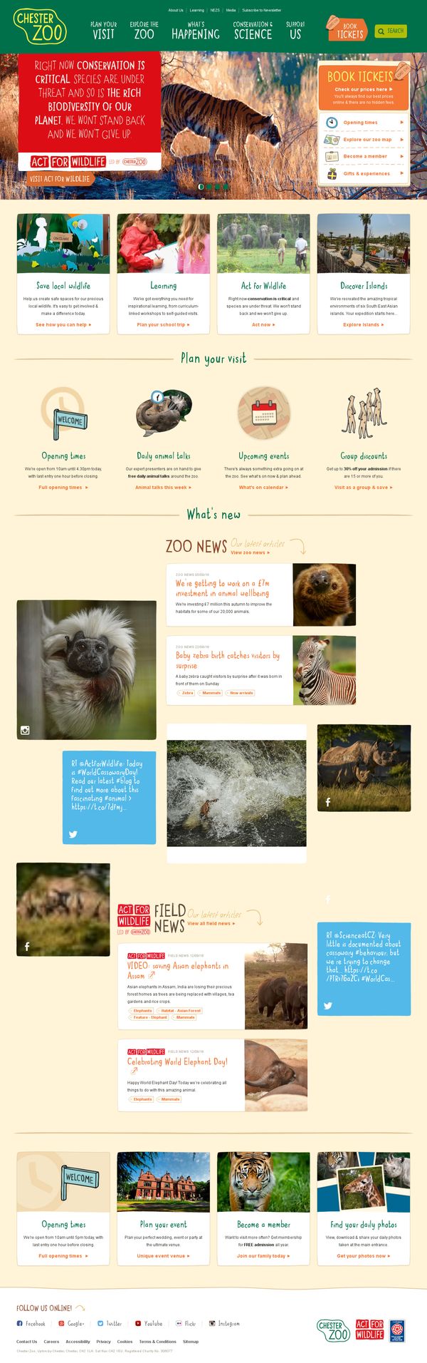 Inspiration - Chester Zoo