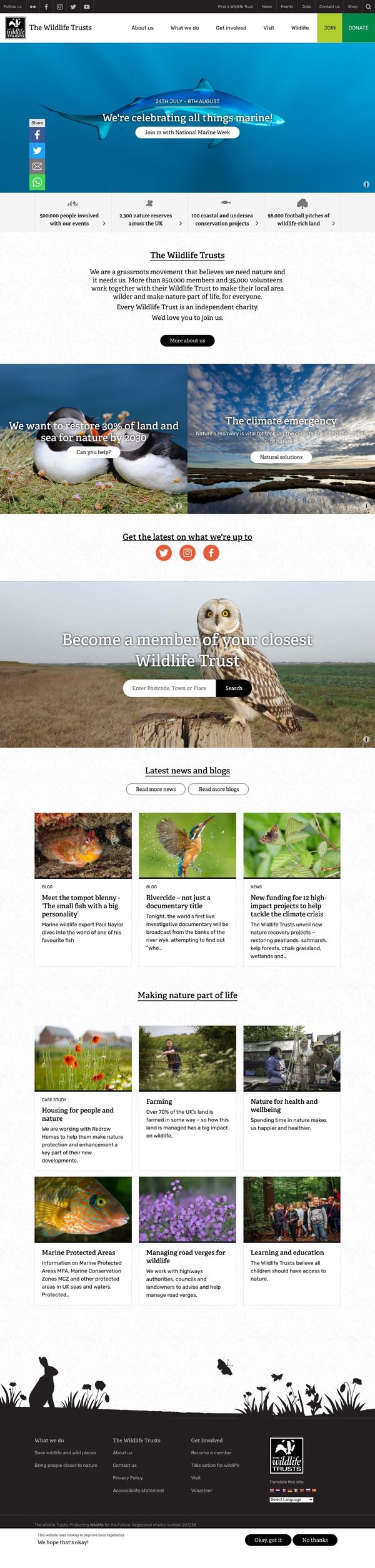 wildlifetrusts.org